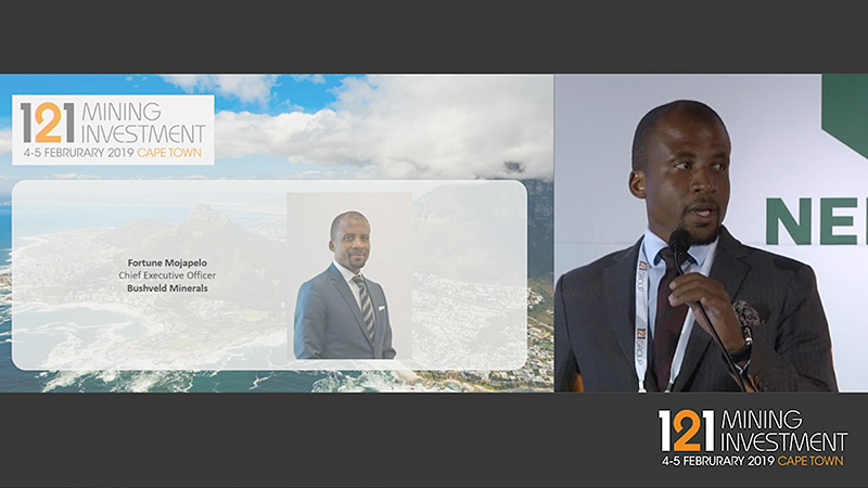 Bushveld Minerals 121 Mining Investment 2019