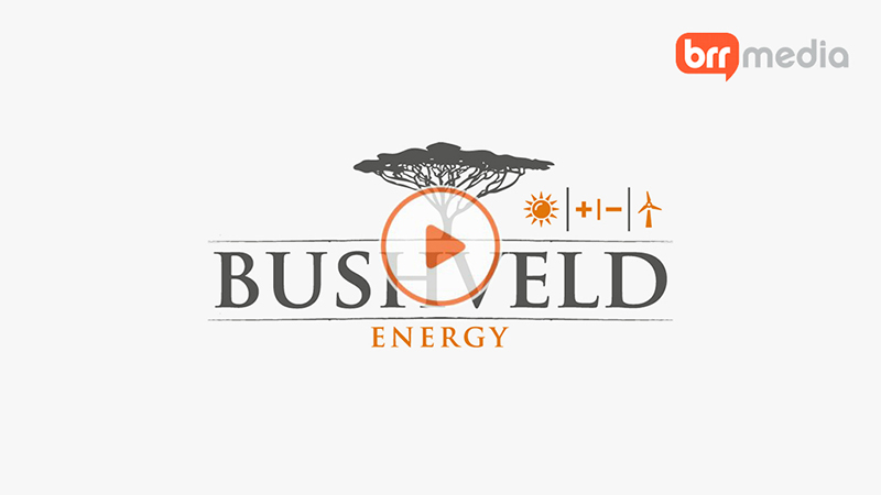 Bushveld Energy Update 2016