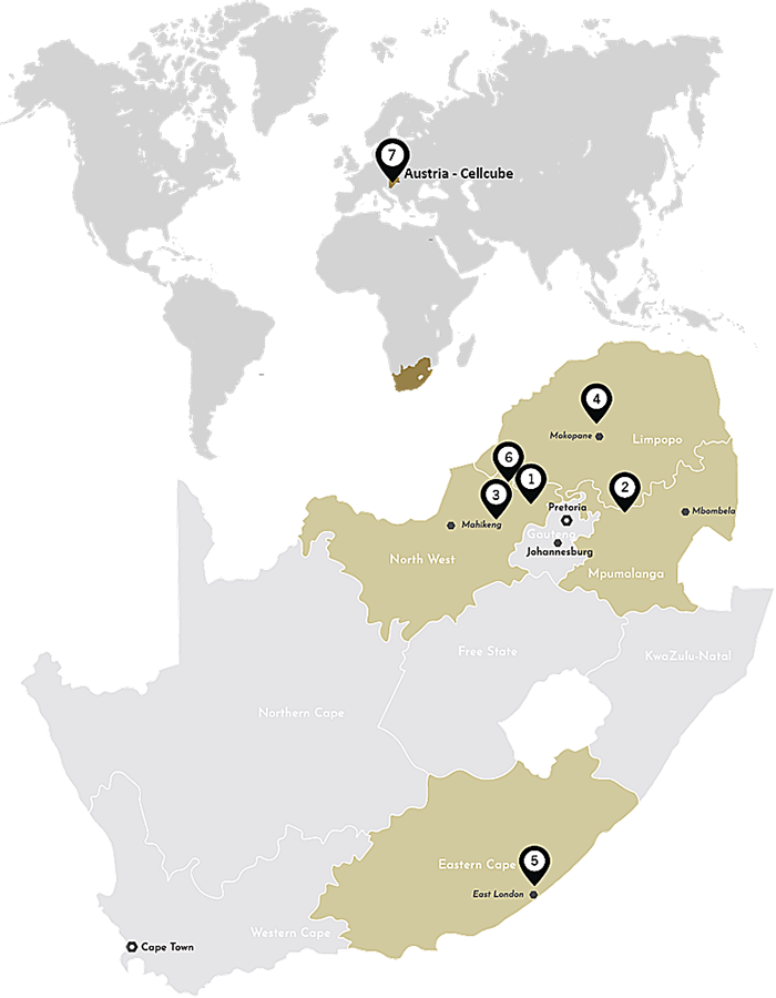 Bushveld Vanadium Core Assets